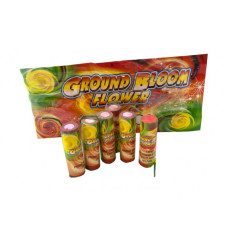 GROUND BLOOM FLOWER 6 KS