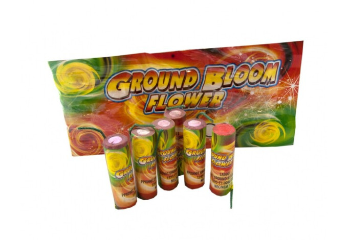GROUND BLOOM FLOWER 6 KS